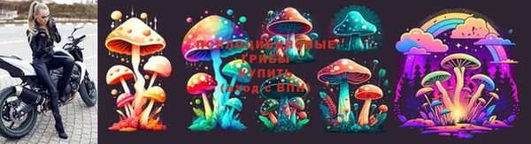 гидра Балабаново